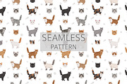 Selkirk Rex Cat, an Animal Illustration by pet design shop (Thumbnail 6 of 6)