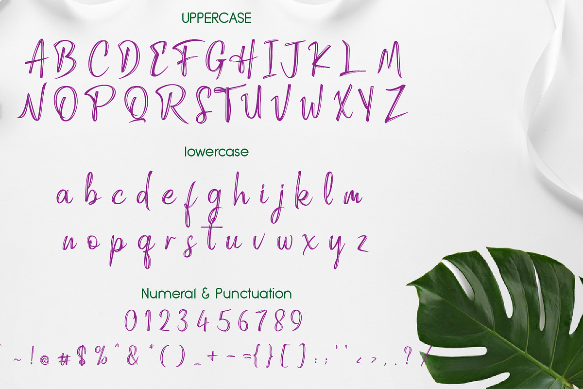 Gippsland Brush Font, a Handwritten Font by adelaide (Photo 2 of 4)
