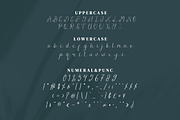 Offsite Script Fonts, a Script Font by mahstudios (Thumbnail 12 of 15)