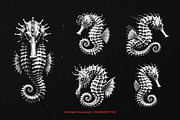 10 Bundle Dark Art Seahorse Sea, an Illustration by Morspective (Thumbnail 3 of 7)