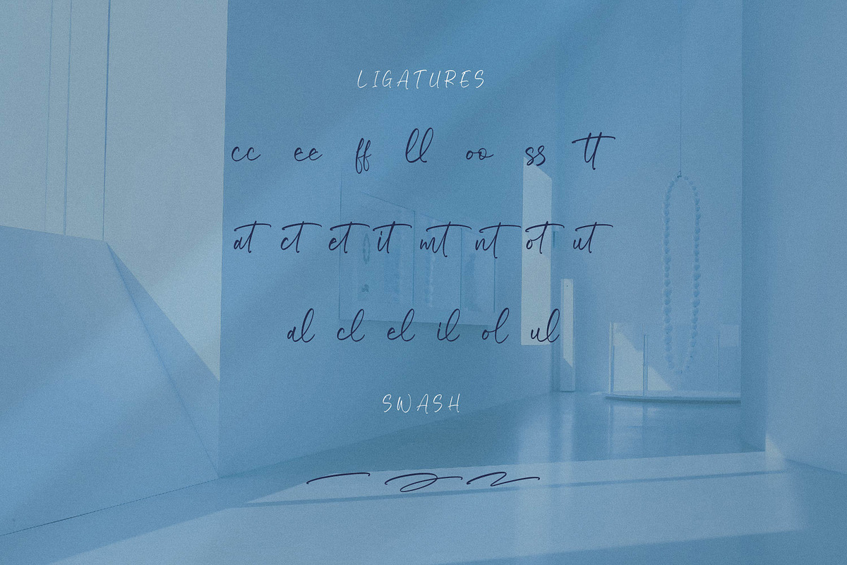 Riyanthy Selafina, a Script Font by Integritype Studio (Photo 11 of 15)