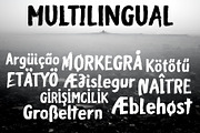 Bridgewater - 3 fonts, a Font by Leitmotif (Thumbnail 5 of 7)