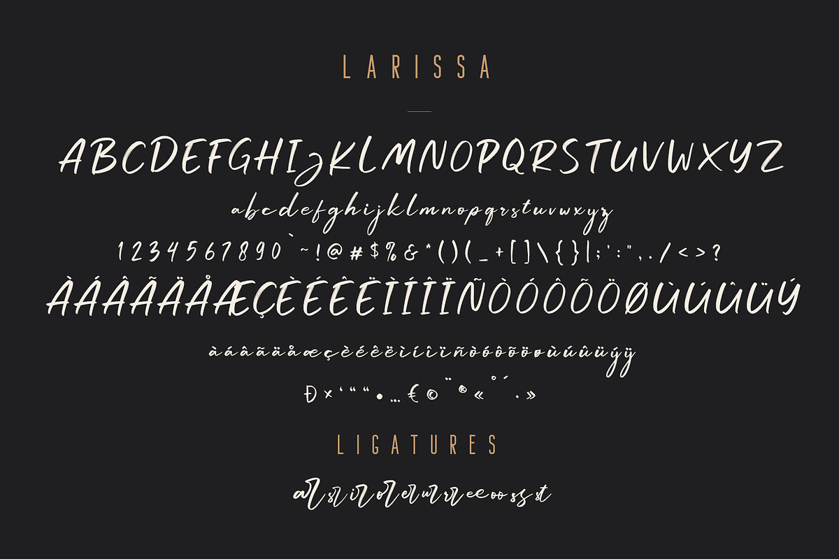 Larissa - Handwritten Font + Bonus preview 8