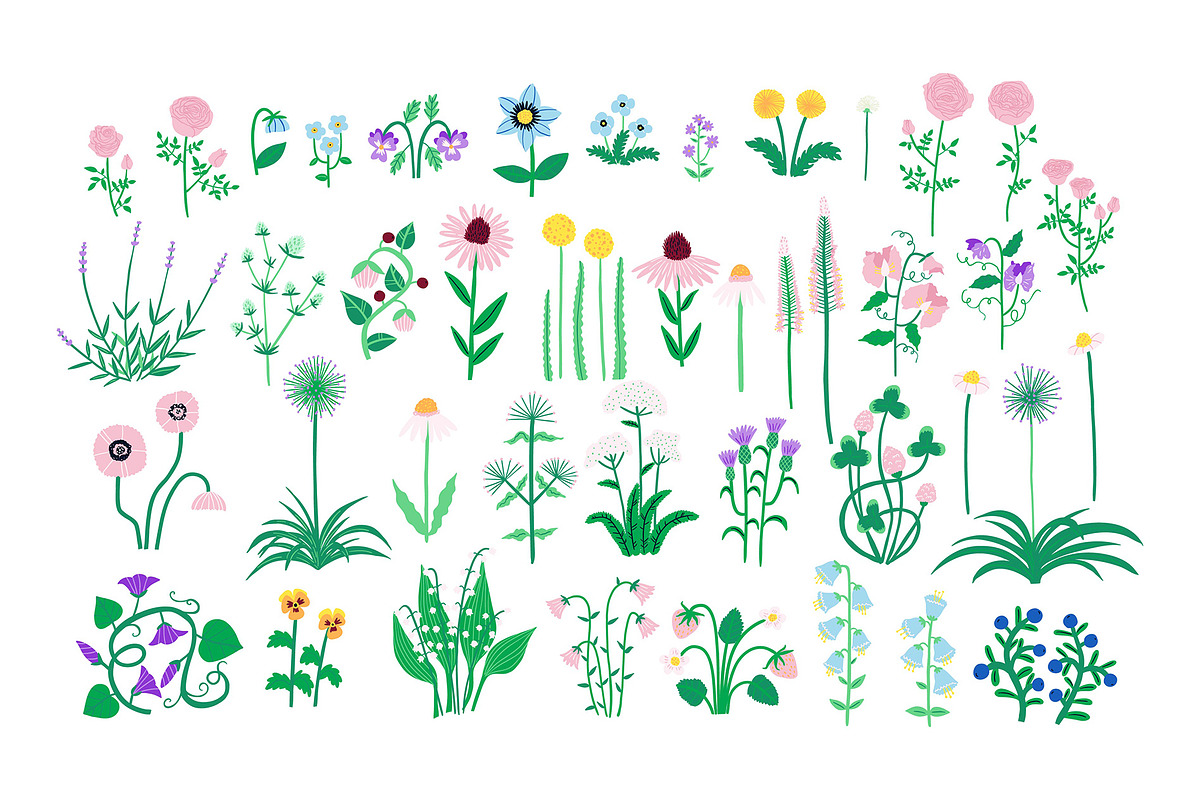 FLOWER GARDEN: plants, greenhouse, a Seasonal Illustration by Elliko shop (Photo 2 of 16)