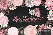 Soft Pink Dahlia Clipart & Vectors, an Illustration by Amanda Ilkov (Thumbnail 2 of 4)