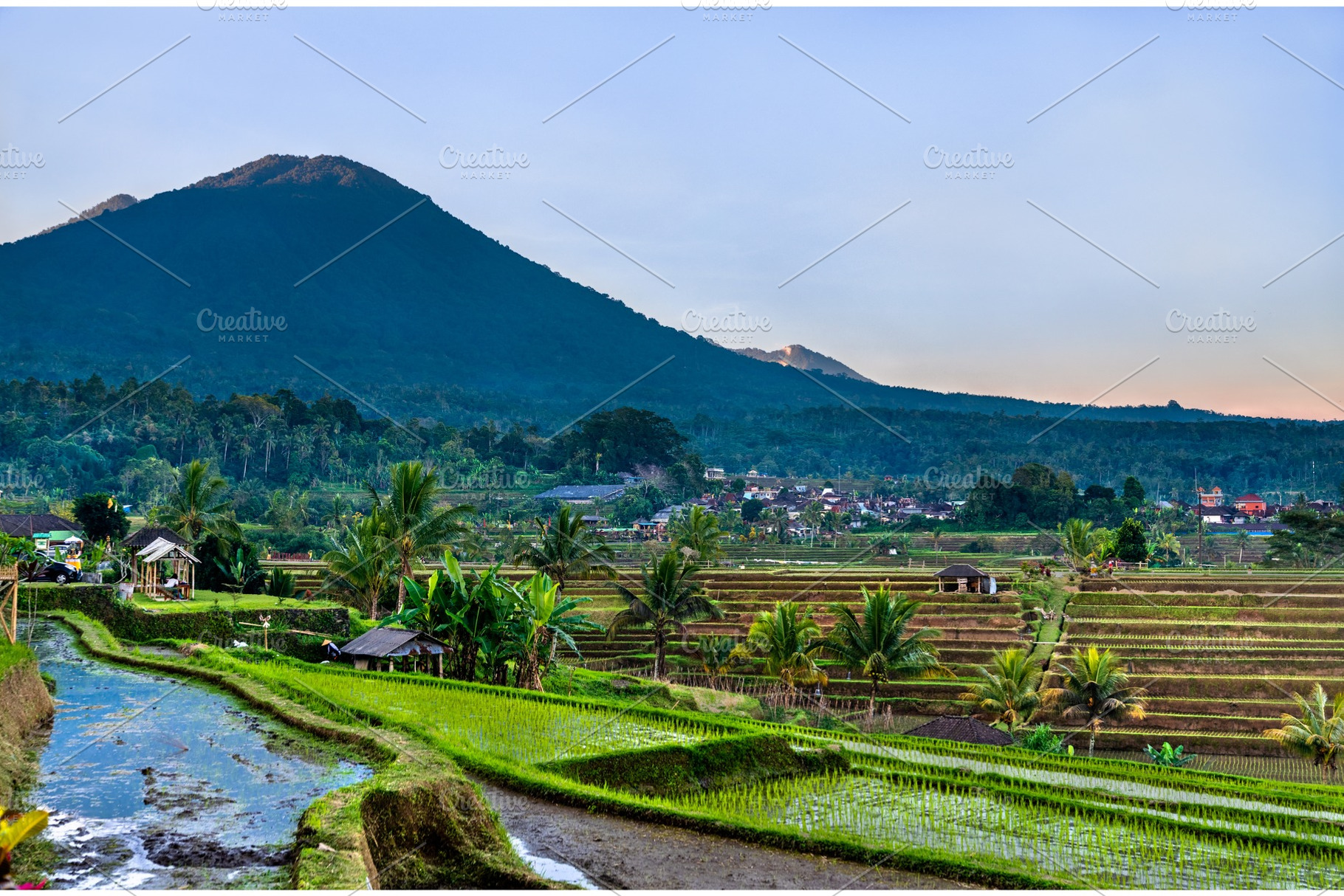 Jatiluwih rice terraces on bali stock photo containing bali and, a Nature Photo by Leonid Andronov