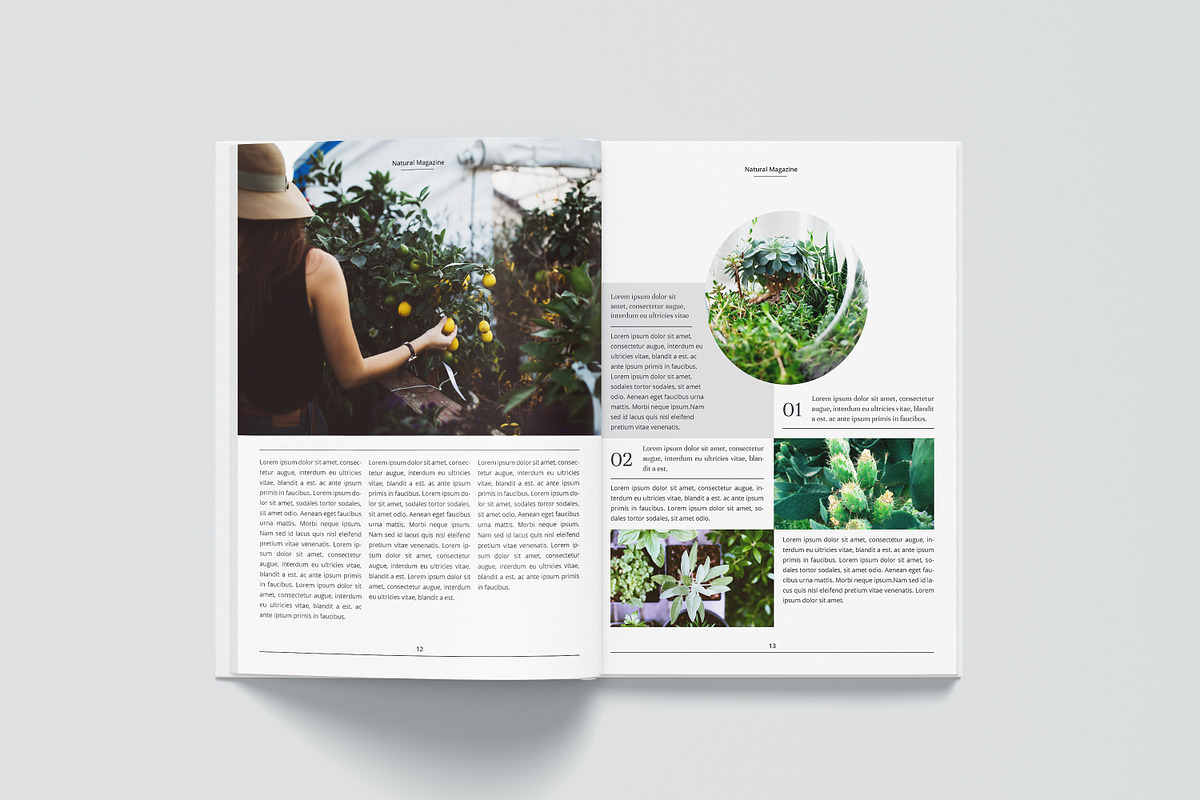 Natural Magazine, a Magazine Template by obidullah_01 (Photo 9 of 14)