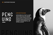 Adhe Sans, a Sans Serif Font by Inspiratype (Thumbnail 10 of 12)