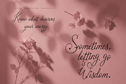 Arine Rosevaly - Romantic Script, a Script Font by HypeWorksCo (Thumbnail 7 of 15)