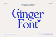 Ginger Modern Serif Font