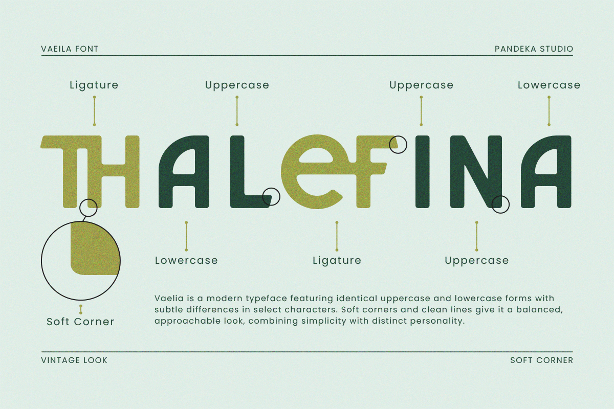 Vaelia - Elegant & Playful Sans, a Sans Serif Font by Pandeka Studio (Photo 7 of 9)