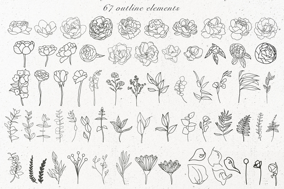 Elegant floral collection.Line art, a Decorative Illustration by Vera●Suleimanova (Photo 10 of 15)