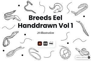Eel Hand Drawn Illustration Set, an Animal Illustration by SLAB! Design