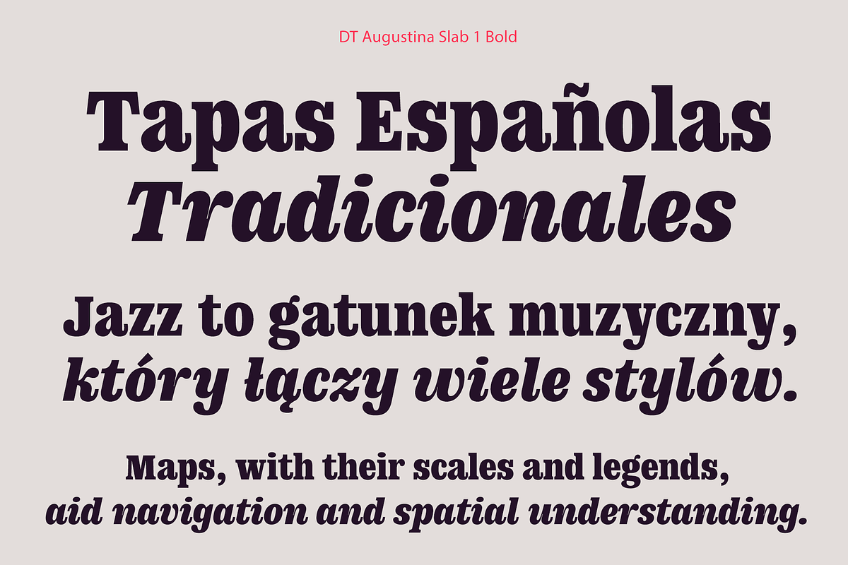 DT Augustina Slab 1 Subfamily, a Slab Serif Font by Deveze Type Foundry (Photo 14 of 31)