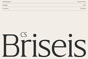 CS Briseis – Luxury Serif Font, a Serif Font by Craft Supply Co. (Thumbnail 1 of 8)