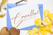 Knightley, a Script Font by PollemSt (Thumbnail 3 of 9)