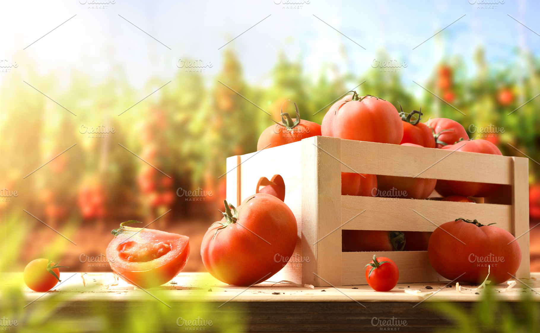 Fresh Tomatoes in Wooden Crate at Farm, a Food & Drink Photo by Davizro's Market