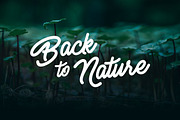 Senella Script Font, a Script Font by Aktab Studio (Thumbnail 7 of 9)