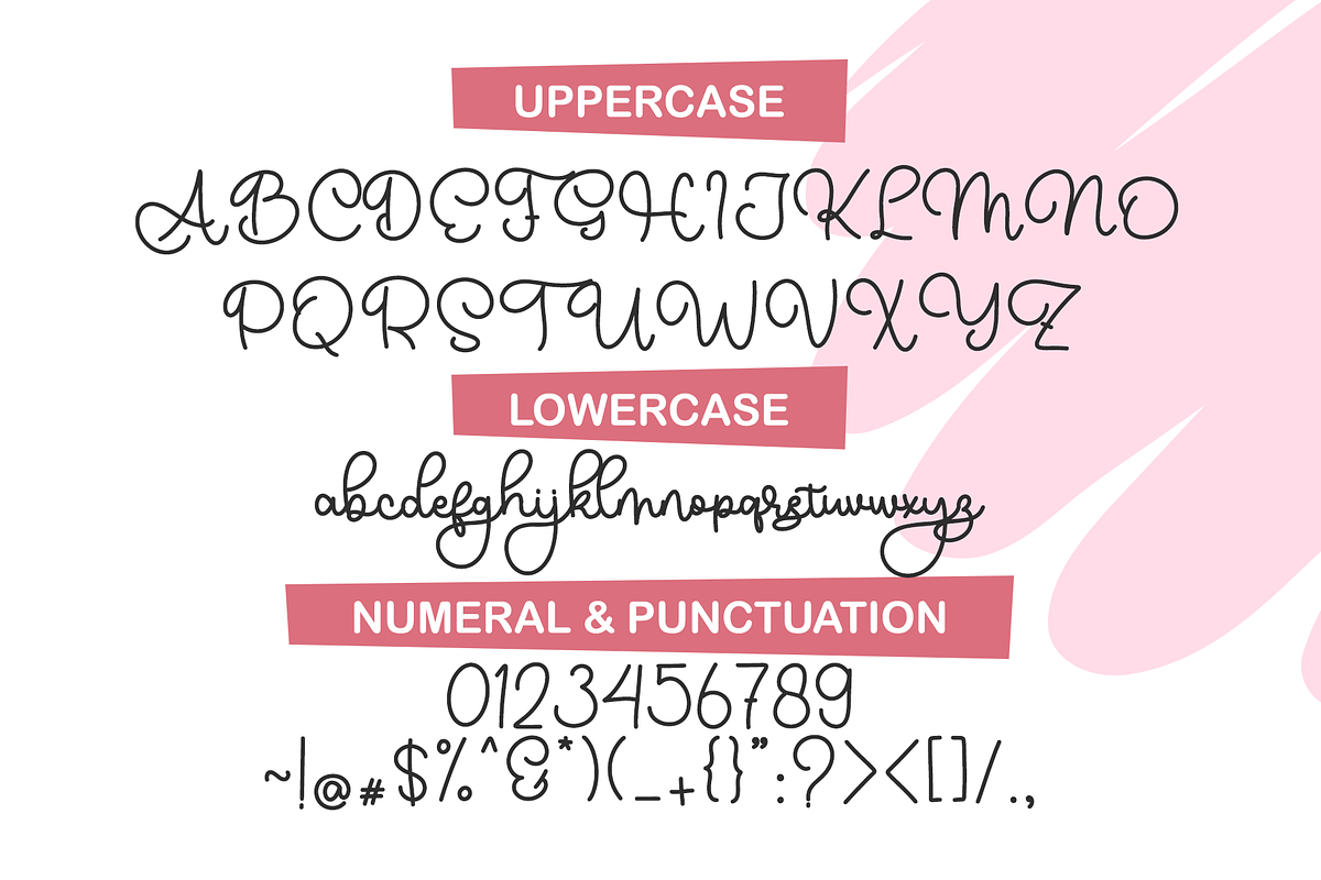 picky nice | Birthday Font, a Script Font by BearyType Studio (Photo 7 of 7)