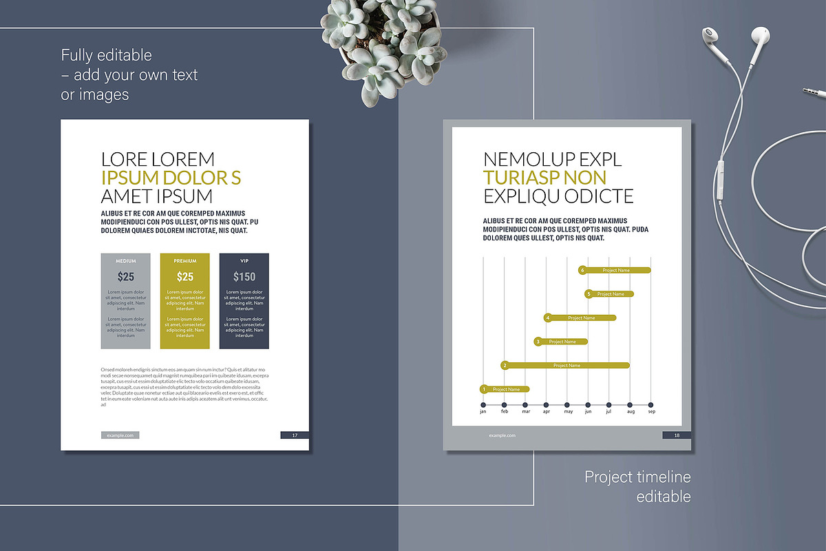 Business Profile E-Book Layout, a Templates & Theme by R-studio (Photo 7 of 10)