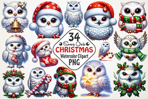 Christmas Snowy Owl Clipart, an Illustration by RobertsArt