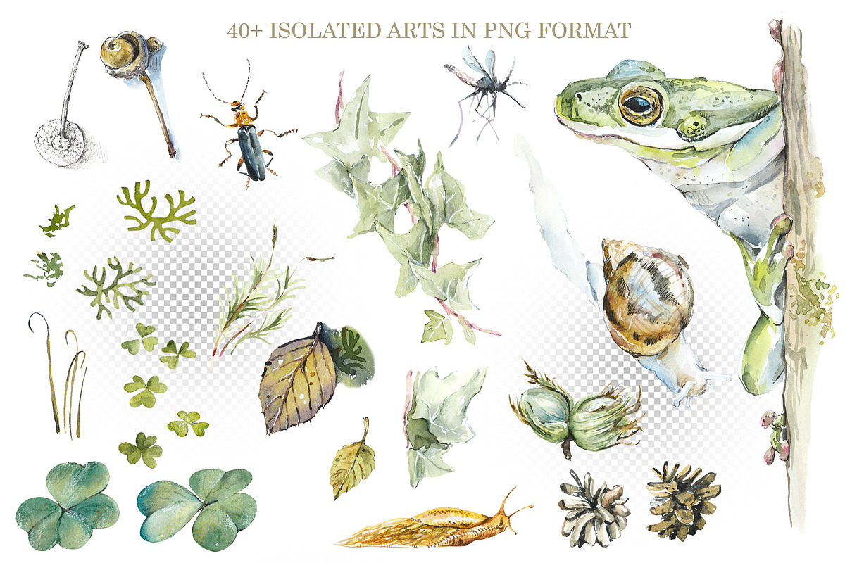 Watercolor Forest Sketches, an Object Graphic by Budogoshch (Photo 3 of 5)
