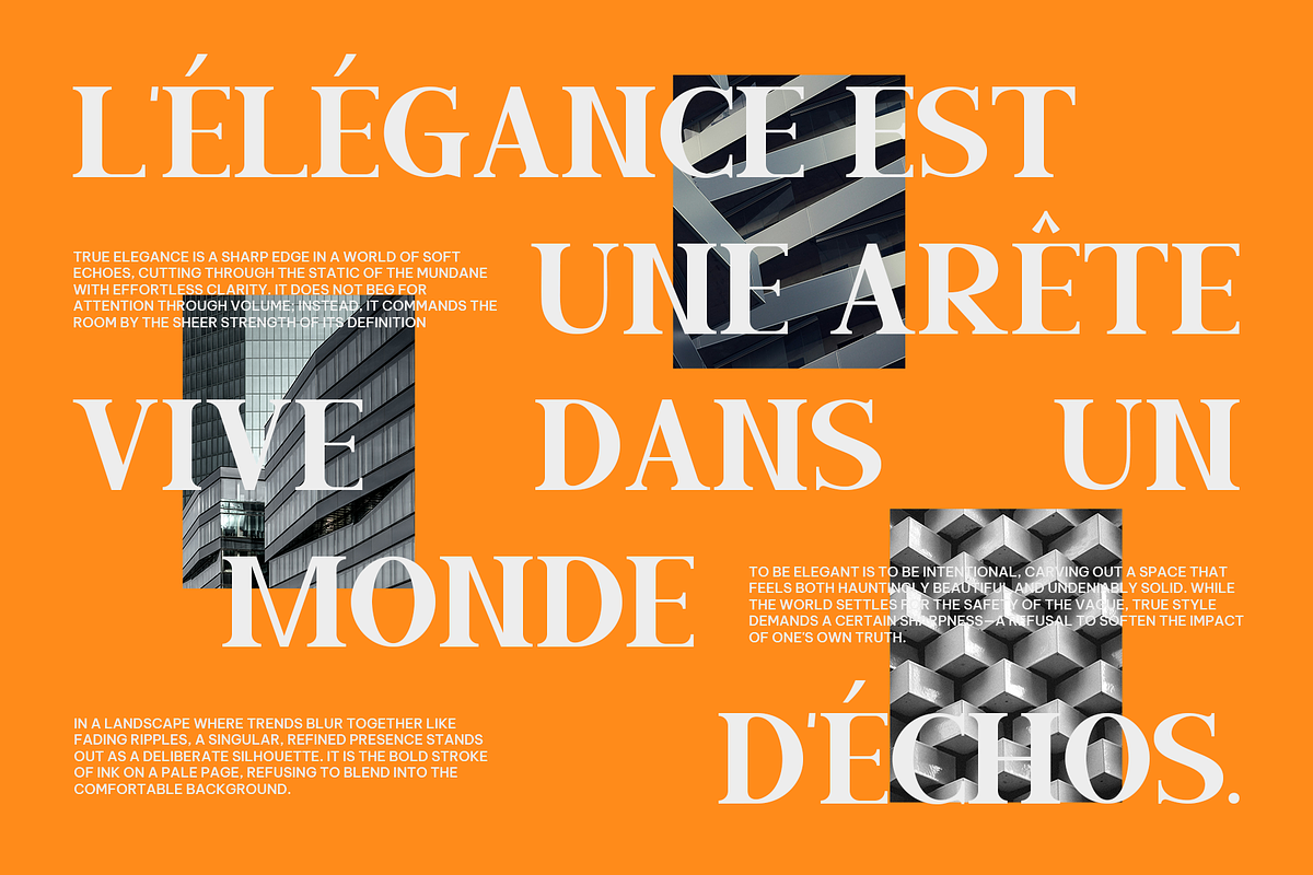 Celtho - Modern Serif Font Family, a Serif Font by Indotype Foundry (Photo 3 of 10)