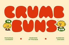 Crumb Buns - Retro Chunky Sans Font