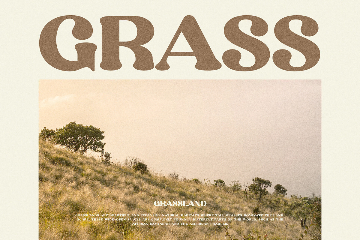 Gaqun Serif Font, a Serif Font by Perfectype (Photo 5 of 10)
