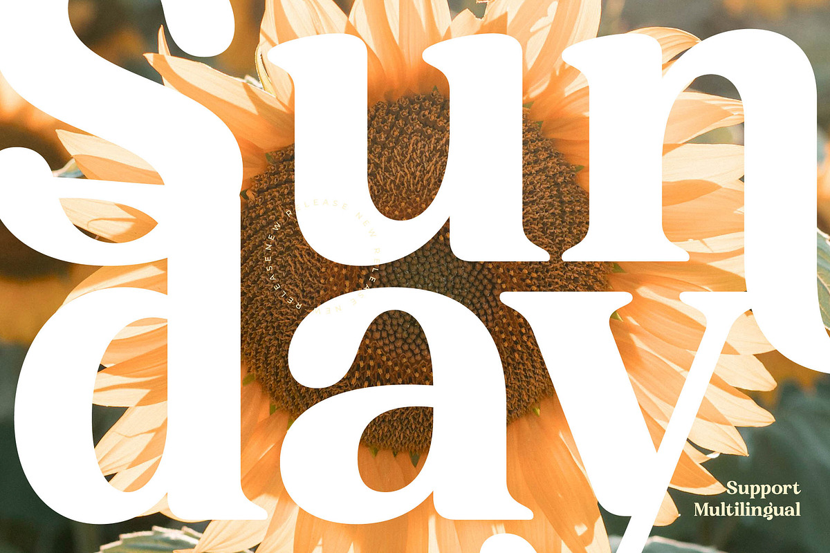 Sunday Ridges Retro Serif Font, a Serif Font by timelesstype.co (Photo 15 of 20)