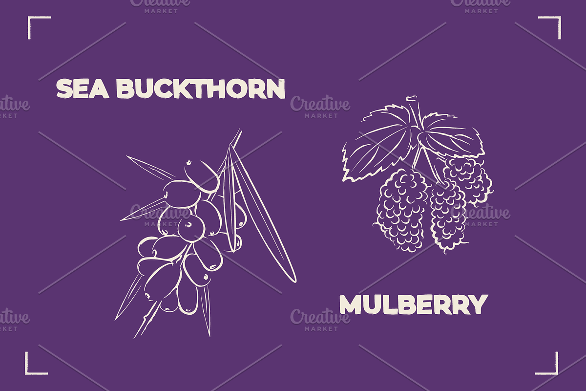 BERRY LINE ART SET (20 elements), a Food Illustration by Bonfloret Studio (Photo 6 of 9)