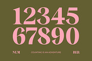 Sagira Beverly Modern Display Serif, a Script Font by timelesstype.co (Thumbnail 10 of 15)