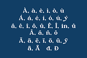 Rytnak - Luxury Retro Font, a Serif Font by QR Design Studio (Thumbnail 12 of 15)