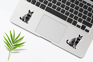 Cute British Shorthair Cat Sticker