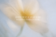 Dreamy Blurry Flower Backgrounds, a Background Graphic by Refancy (Thumbnail 2 of 12)