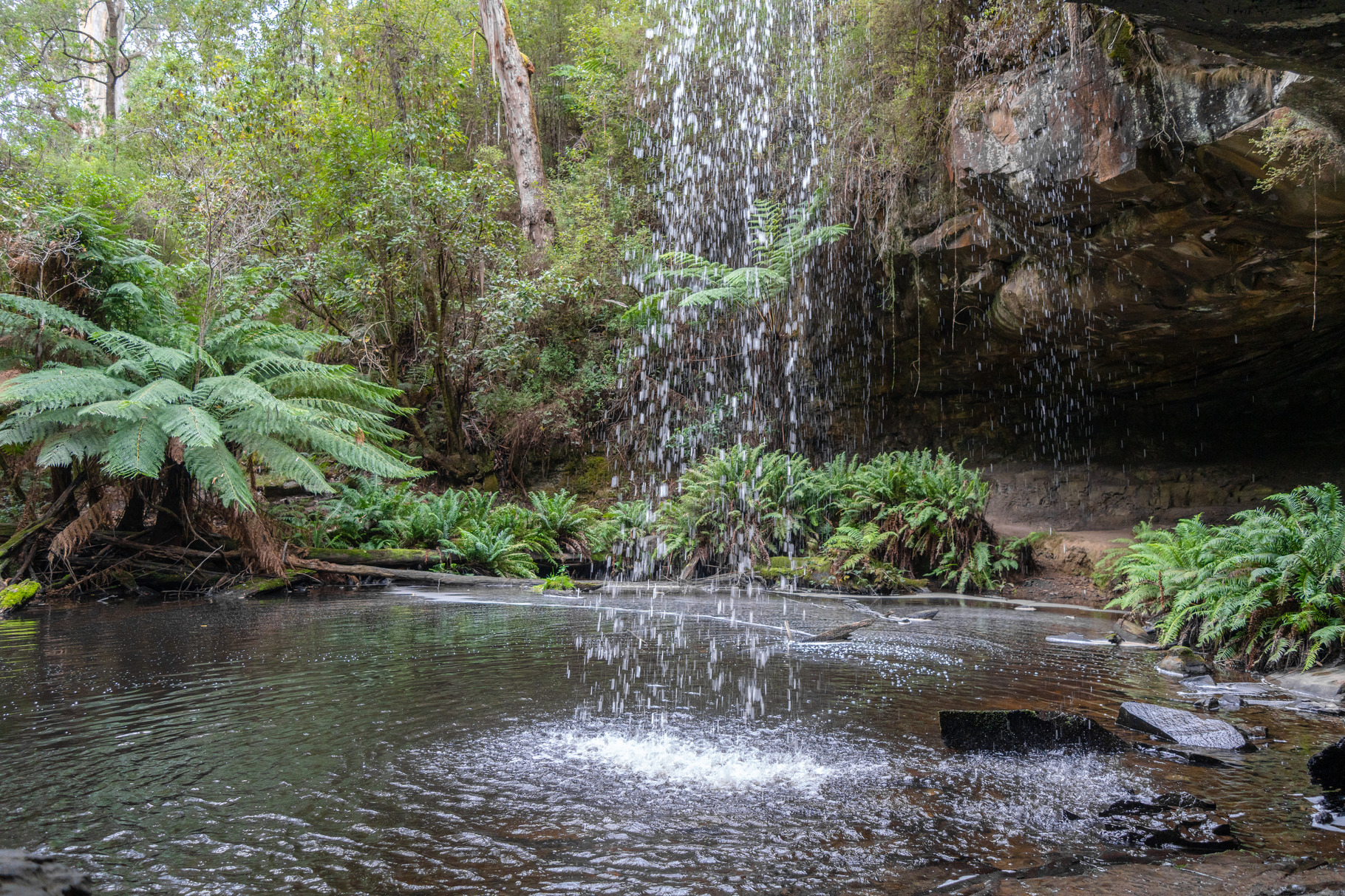 Kalimna Falls along Cumberland River trek, Great Ocean Road, Aus, a ...