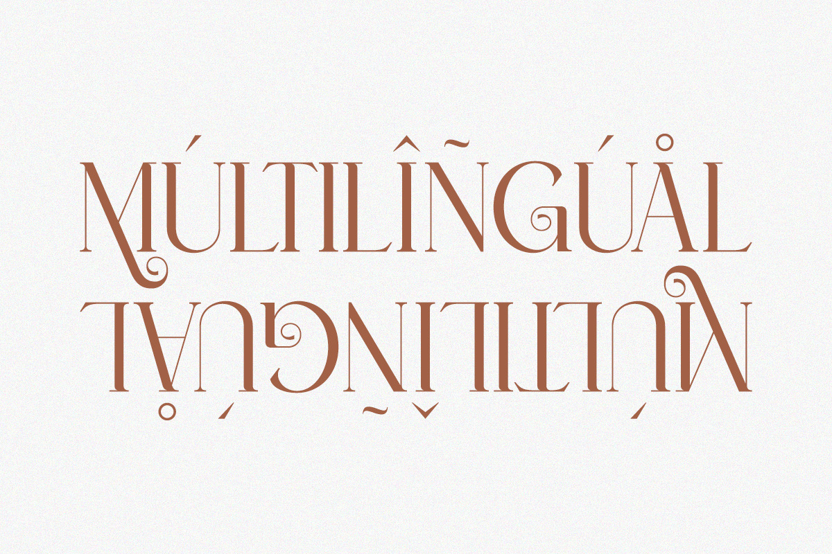 Bilifer - Modern Luxury Serif, a Serif Font by Qweera Studio (Photo 12 of 12)