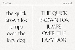 Asteria // A Modern Sans Serif Font