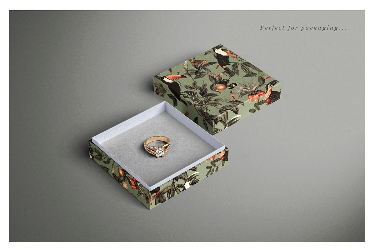 Antonio (graphic floral print), a Wallpaper Graphic by Luiz da Rolt Grathwohl (Photo 10 of 12)