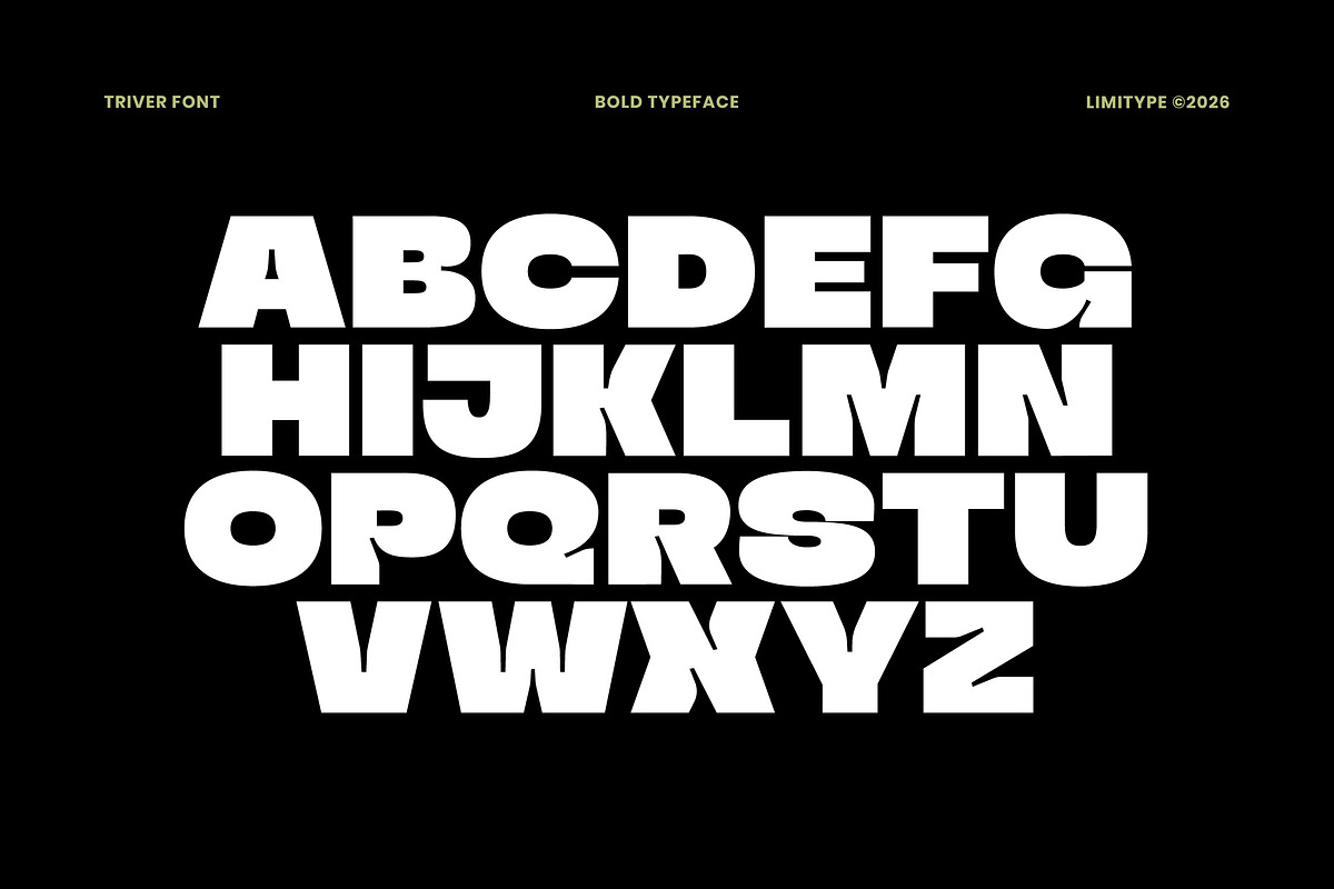 Triver - Bold Inktrap Font, a Sans Serif Font by limitype (Photo 8 of 12)