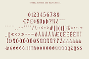 Channery - Modern Ligatures Font, a Serif Font by Say Studio (Thumbnail 13 of 13)
