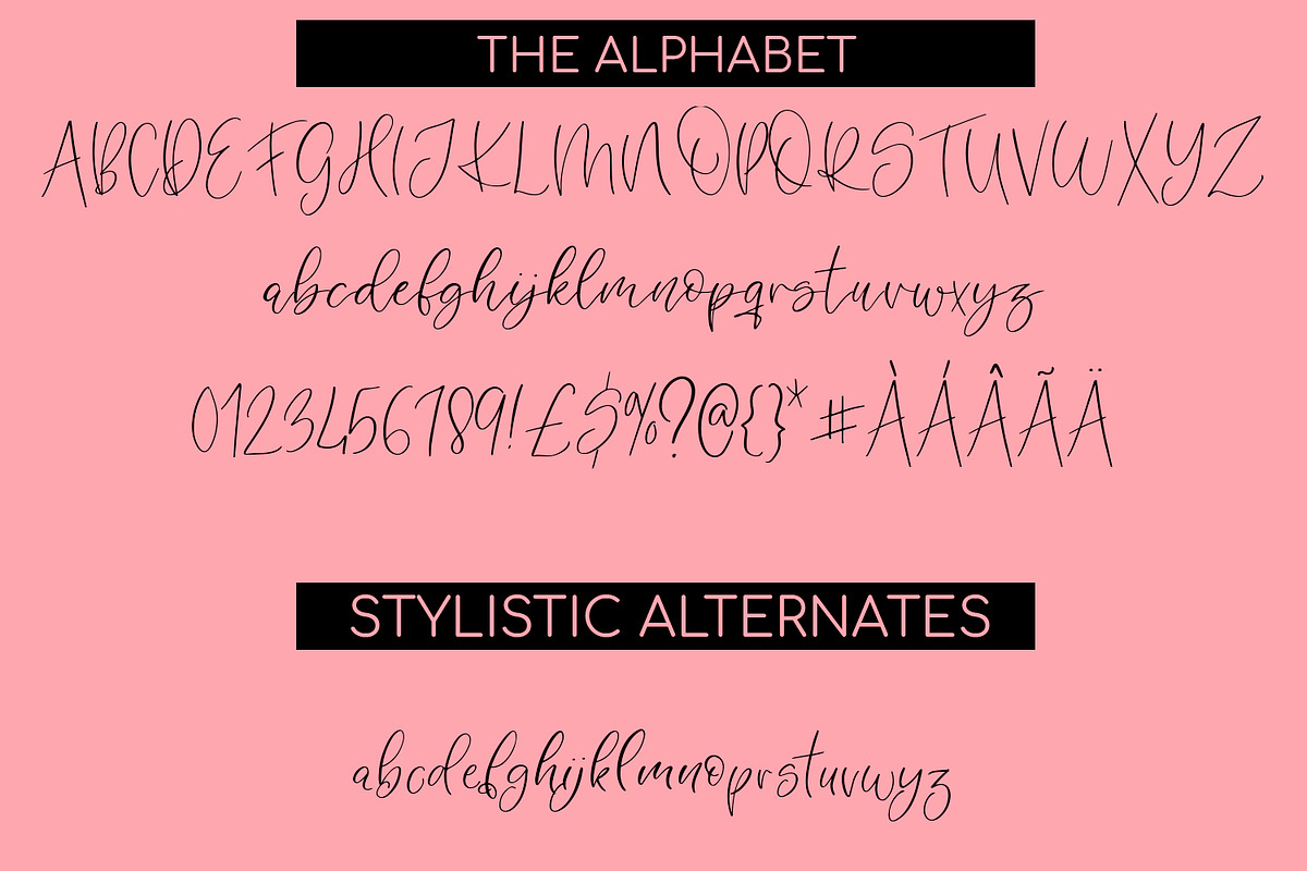Angelina A Handwritten Script Font, a Handwritten Font by Freeling Design House (Photo 2 of 4)
