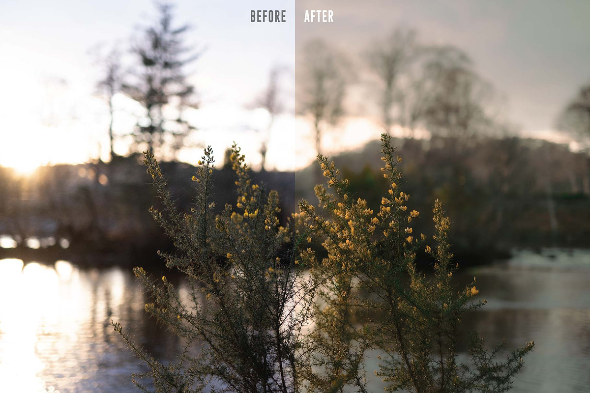 Golden Sunset Lightroom Preset, a Templates & Theme by Bryan Siu (Photo 4 of 5)