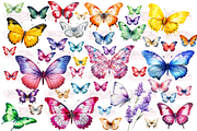 Botanical Butterfly Clipart Decor, a Decorative Illustration by Watercolor Digital (Thumbnail 3 of 9)