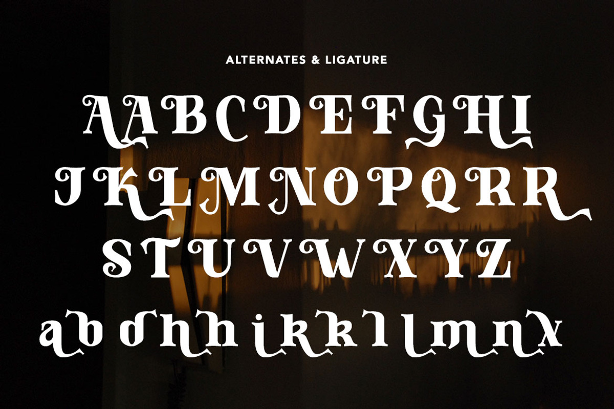 Ataraxia, a Serif Font by HATFSTUDIO (Photo 8 of 8)