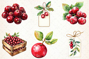 Watercolor Cranberry Clipart, an Illustration by Libby Wishes (Thumbnail 6 of 10)