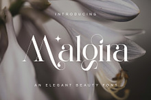 Malgira Modern Ligature Serif