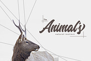Margents, a Script Font by ShowUp! Studio (Thumbnail 10 of 19)