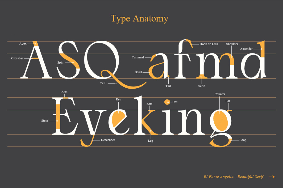 El Fonte Angelia | Ligature Serif, a Serif Font by Gilar Studio (Photo 4 of 11)