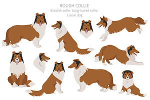 Rough Collie Clipart